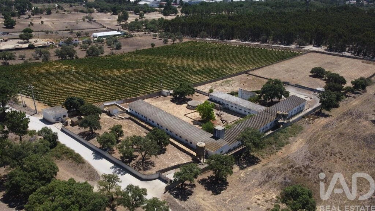 Terreno para Venda em Quinta do Anjo Foto 1