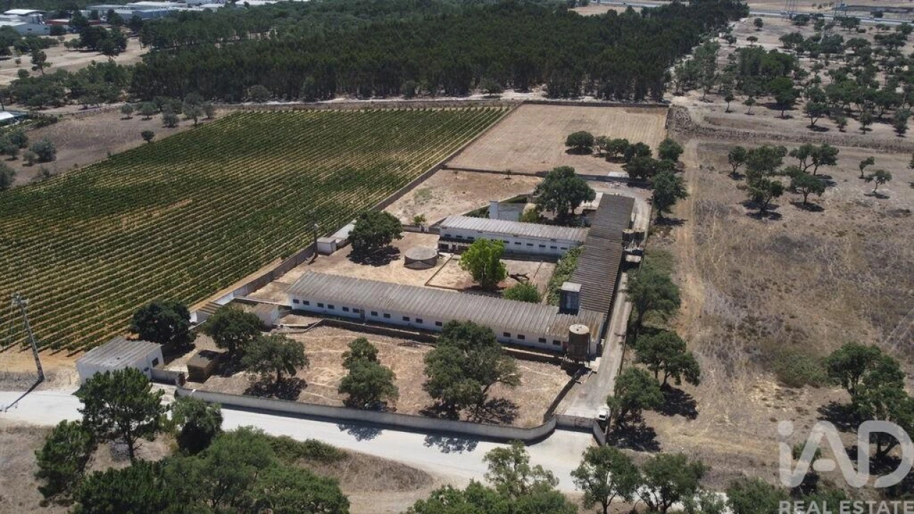 Terreno para Venda em Quinta do Anjo Foto 6