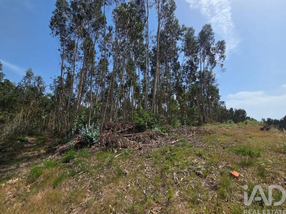 Terreno para Venda em São Joaninho Foto 7