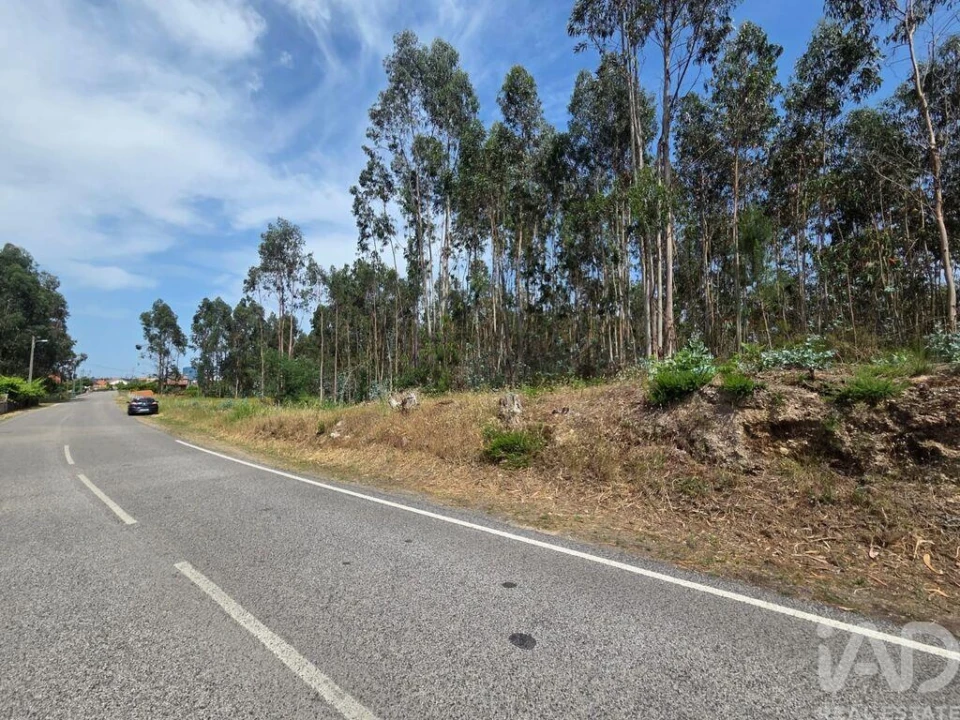 Terreno para Venda em São Joaninho Foto 4