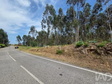 Terreno para Venda em São Joaninho