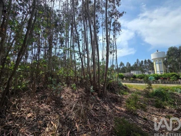 Terreno para Venda em São Joaninho