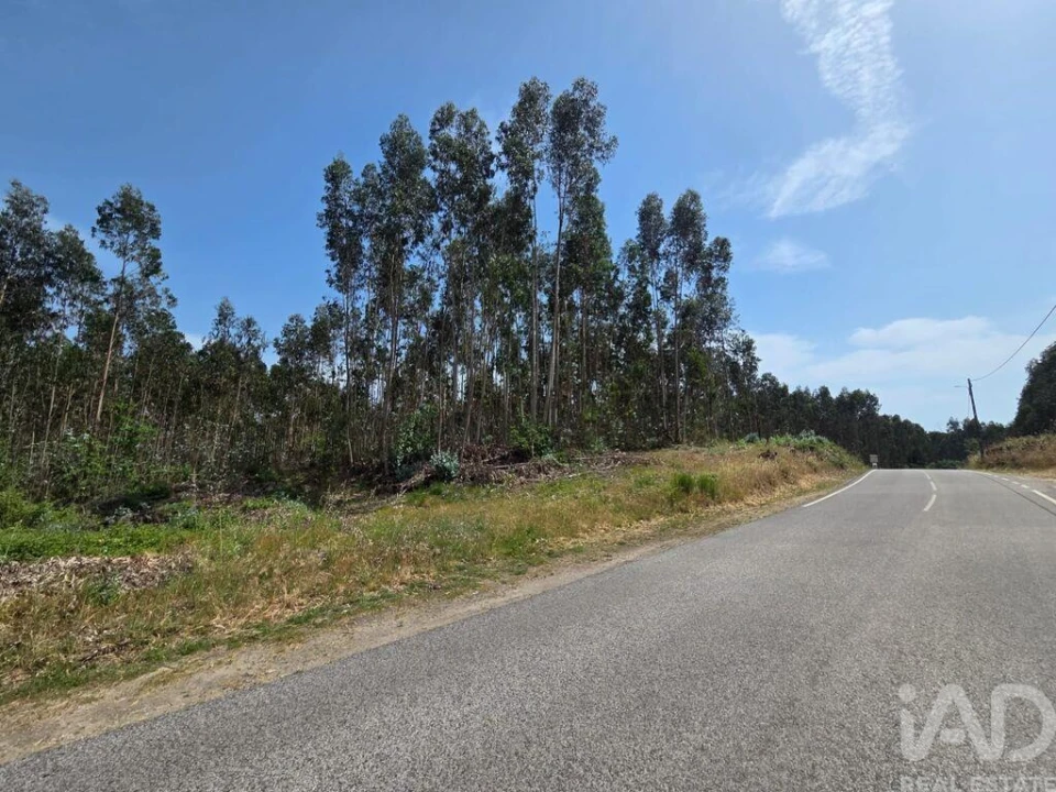 Terreno para Venda em São Joaninho Foto 2