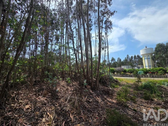 Terreno para Venda em São Joaninho Foto 6