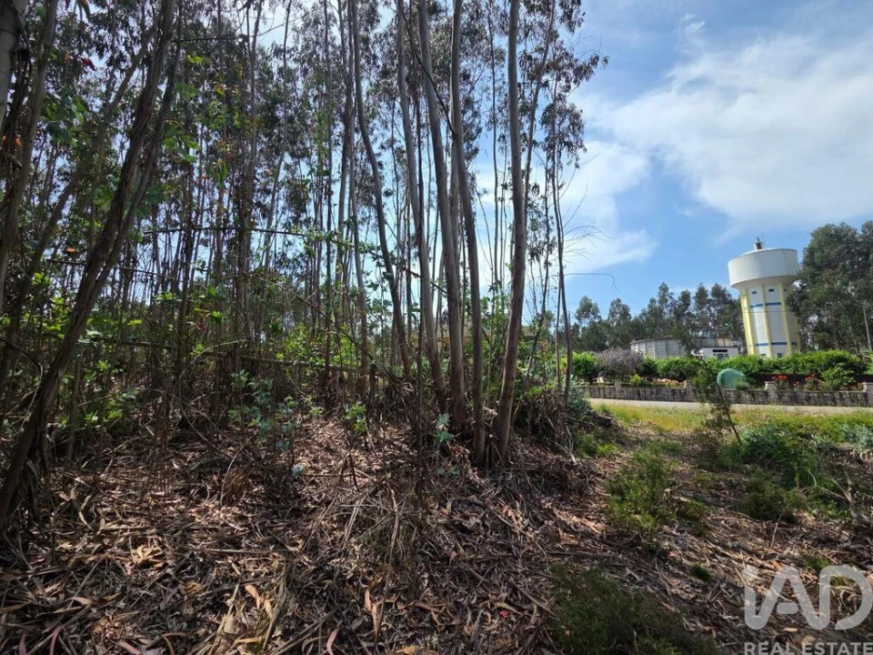 Terreno para Venda em São Joaninho Foto 6