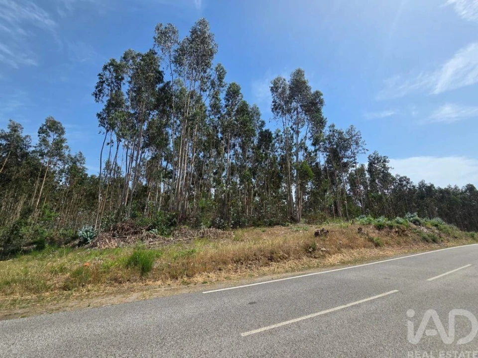 Terreno para Venda em São Joaninho Foto 3