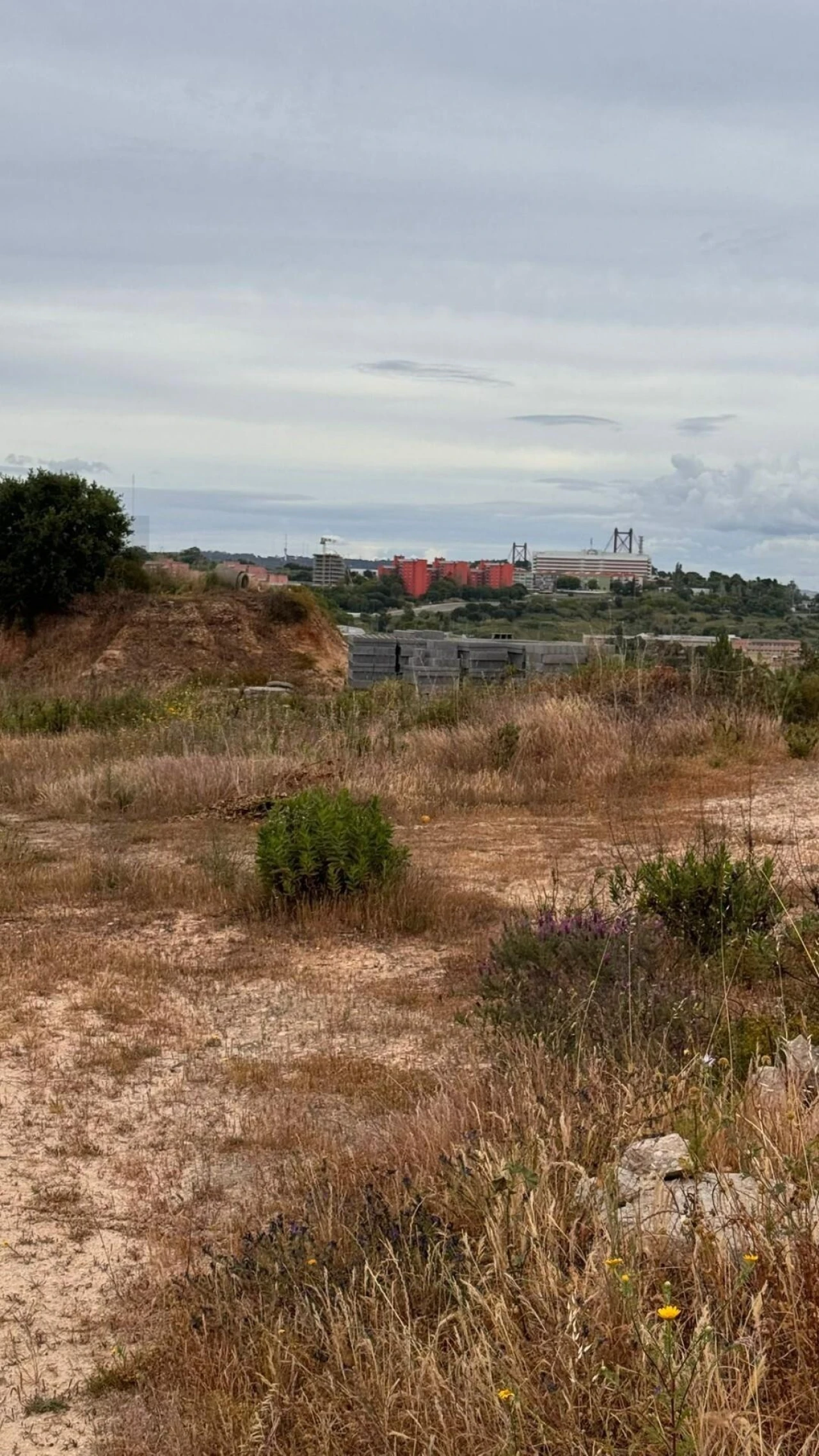 Terreno para Venda em Laranjeiro e Feijó Foto 7