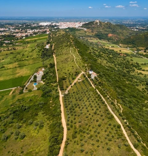 Terreno para Venda em Quinta do Anjo