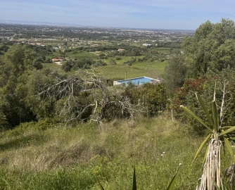 Terreno para Venda em Quinta do Anjo