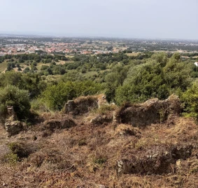 Terreno para Venda em Quinta do Anjo