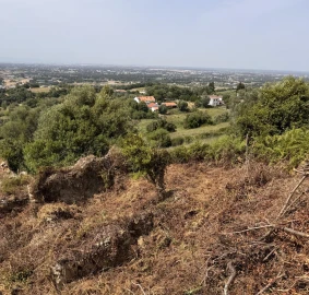 Terreno para Venda em Quinta do Anjo