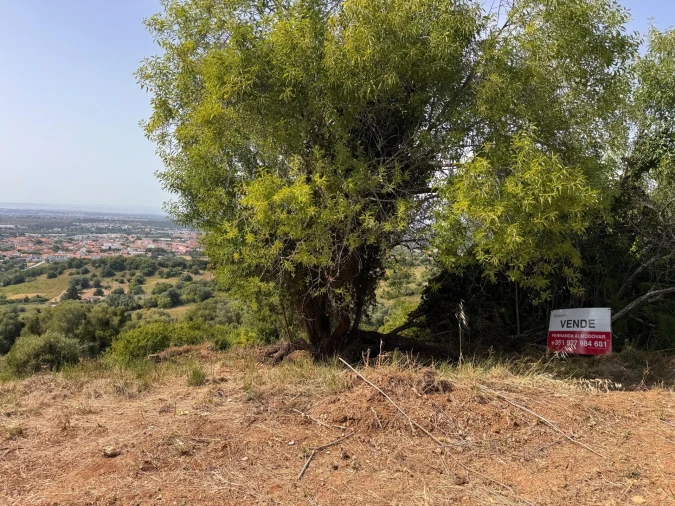 Terreno para Venda em Palmela Foto 3