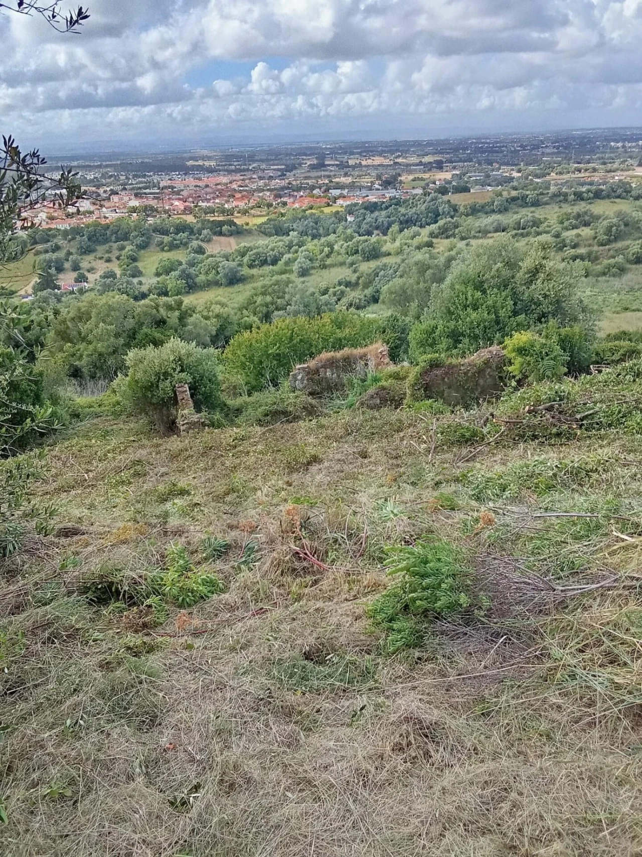Terreno para Venda em Palmela Foto 4