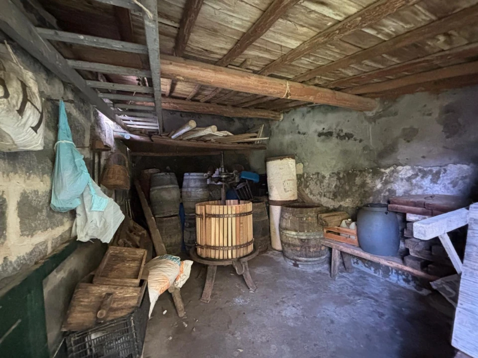 Terreno para Venda em Ribeirinha Foto 7