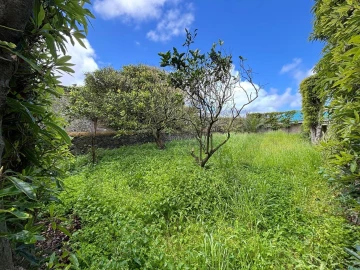 Terreno para Venda em Ribeirinha