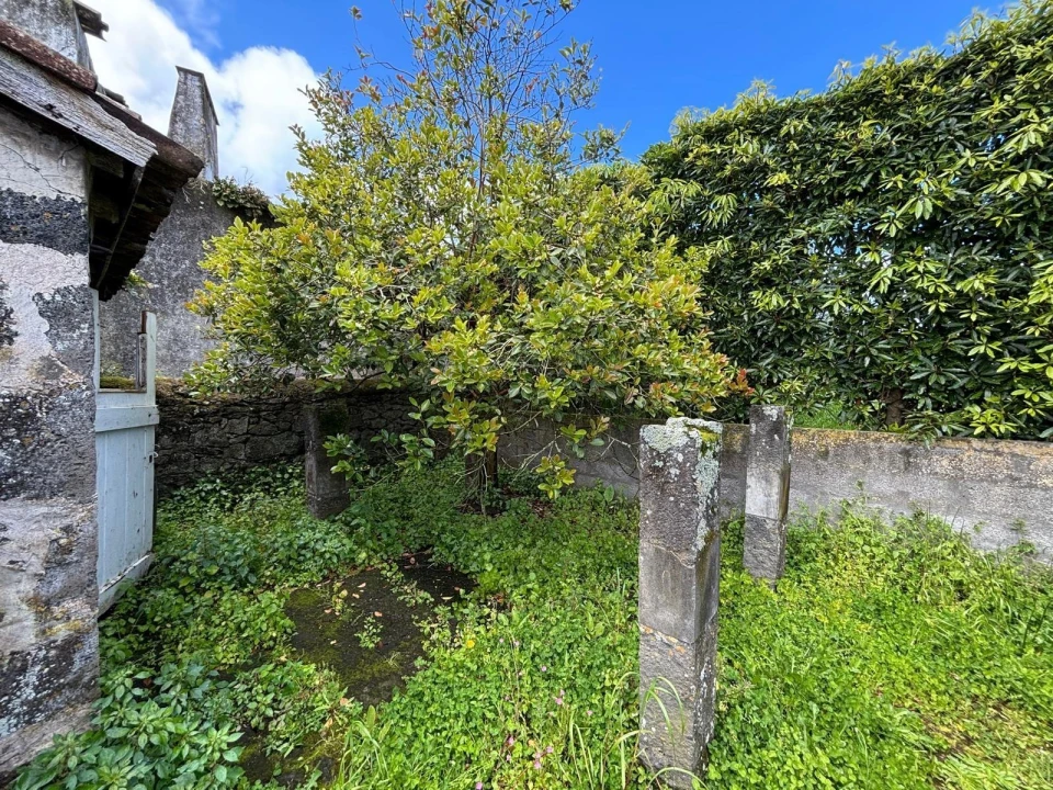 Terreno para Venda em Ribeirinha Foto 12