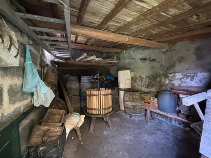 Terreno para Venda em Ribeirinha Foto 7