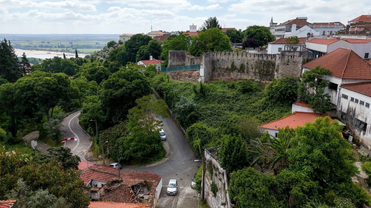 Prédio para Venda em Romeira e Várzea Foto 14