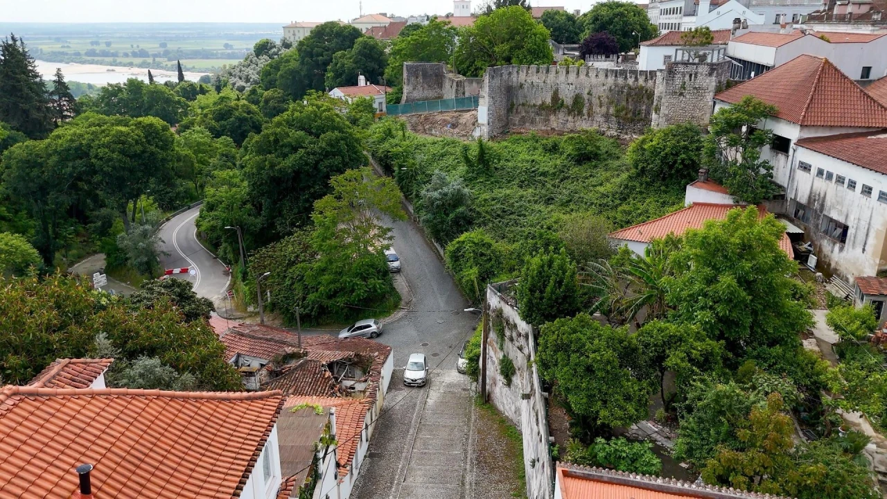 Prédio para Venda em Romeira e Várzea Foto 15