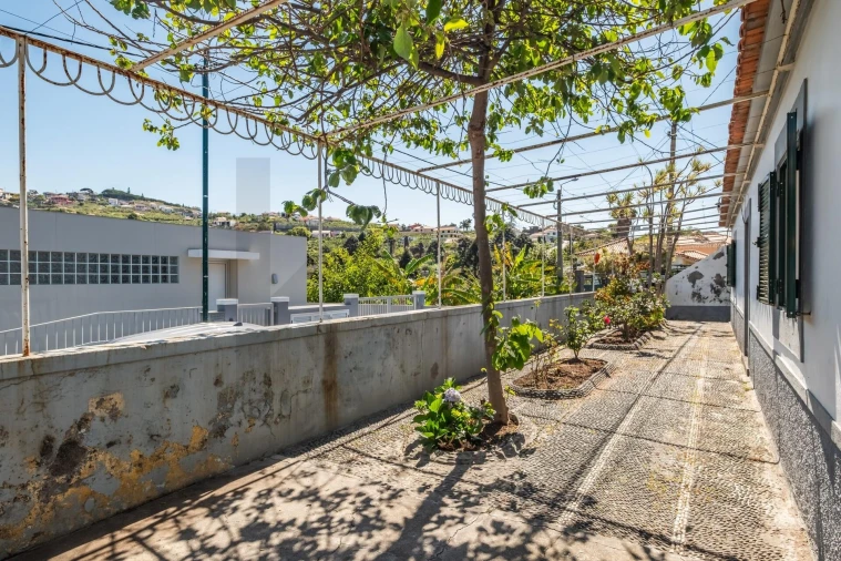Moradia T3 para Venda em São Martinho Foto 5