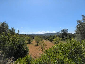 Moradia T1 para Venda em Paderne