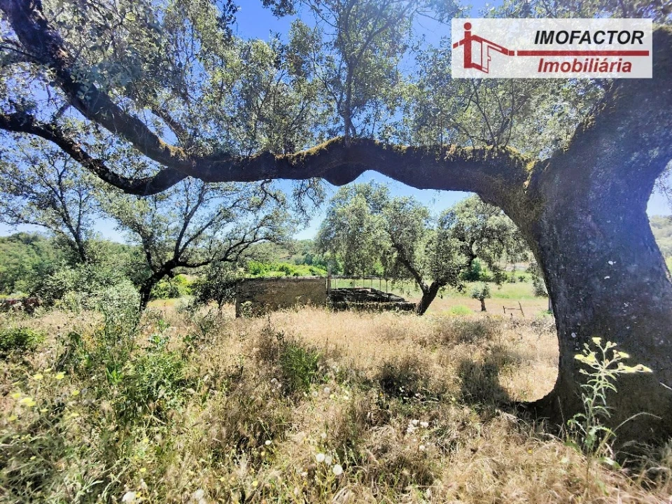Quinta T8 para Venda em Castelo Branco Foto 19