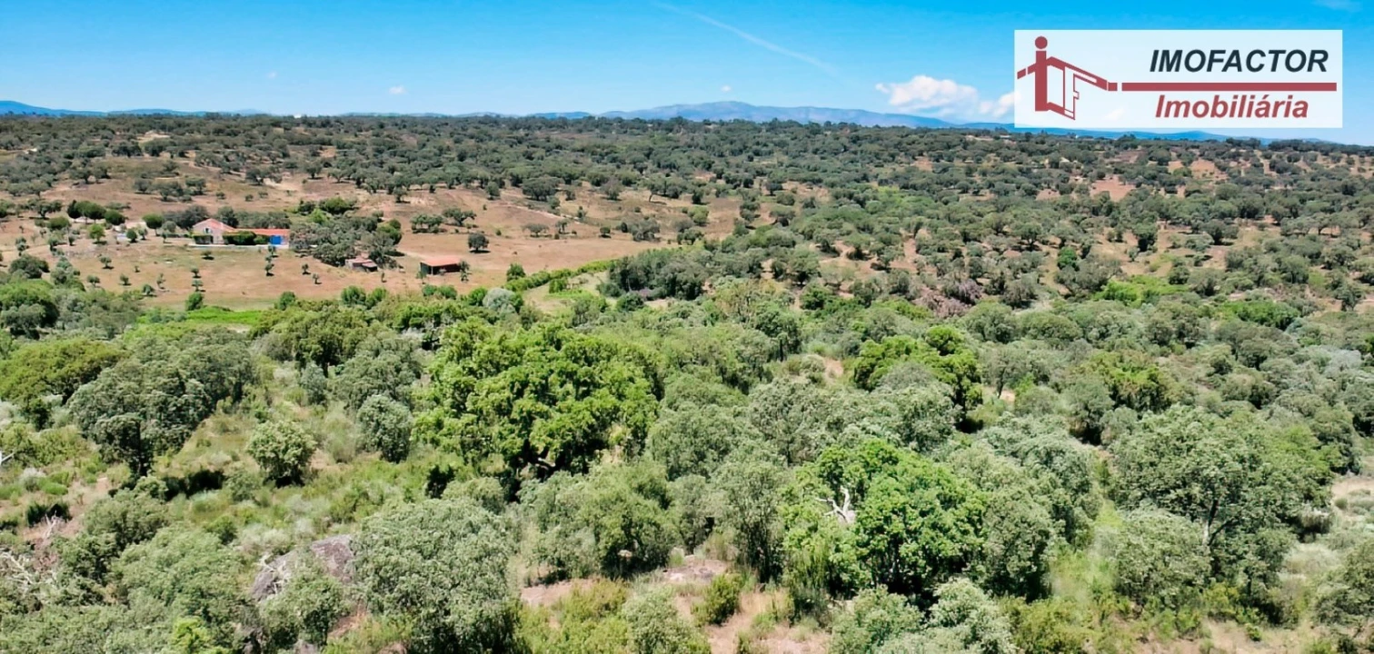 Quinta T8 para Venda em Castelo Branco Foto 96