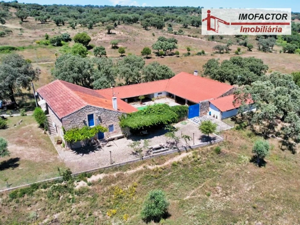 Quinta T8 para Venda em Castelo Branco Foto 1