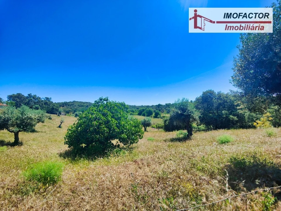 Quinta T8 para Venda em Castelo Branco Foto 21