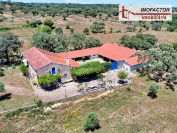 Quinta T8 para Venda em Castelo Branco