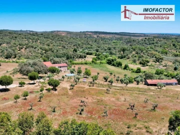 Quinta T8 para Venda em Castelo Branco
