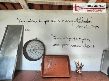 Quinta T8 para Venda em Castelo Branco