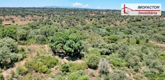 Quinta T8 para Venda em Castelo Branco