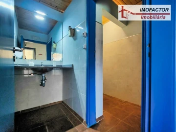 Quinta T8 para Venda em Castelo Branco