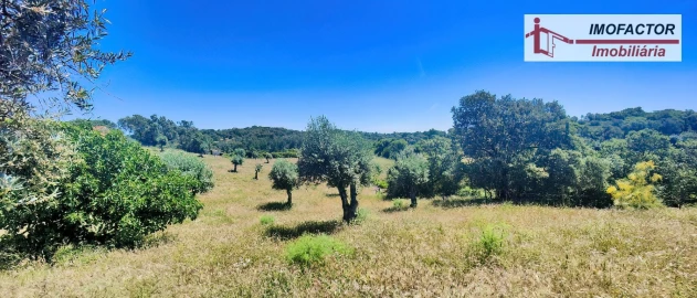 Quinta T8 para Venda em Castelo Branco