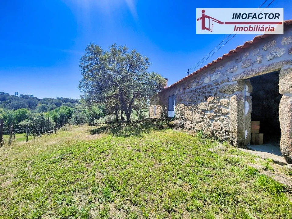 Quinta T8 para Venda em Castelo Branco Foto 71