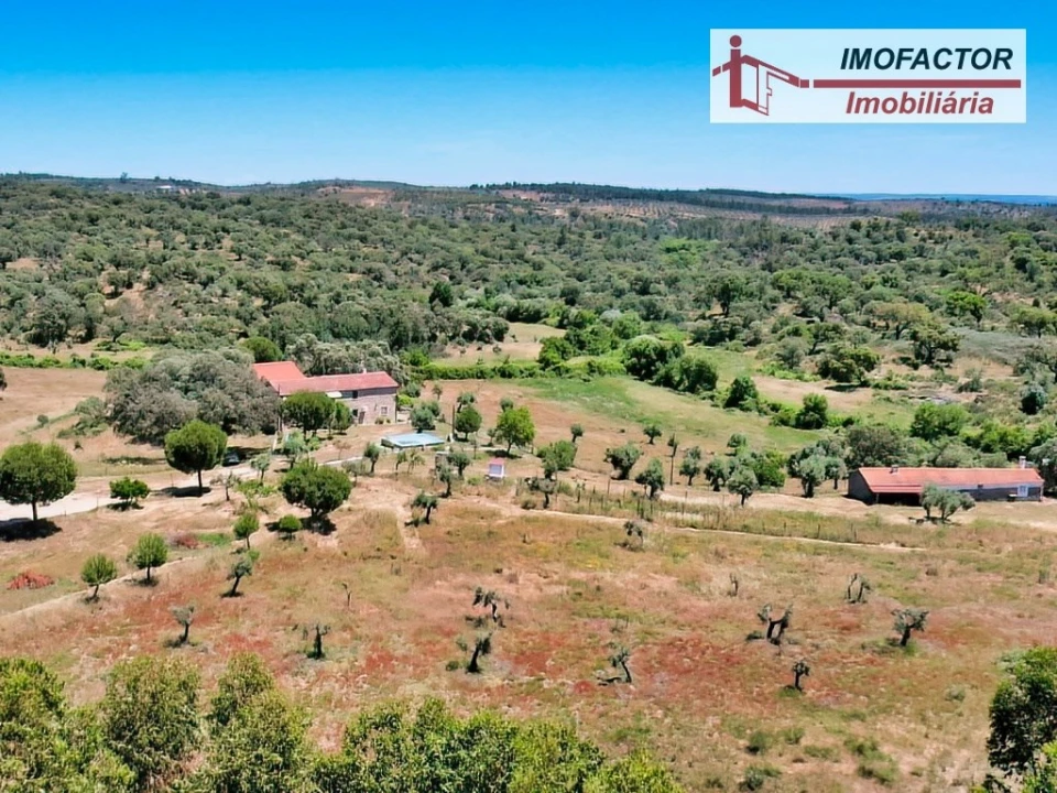 Quinta T8 para Venda em Castelo Branco Foto 87