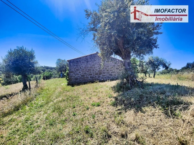 Quinta T8 para Venda em Castelo Branco Foto 17