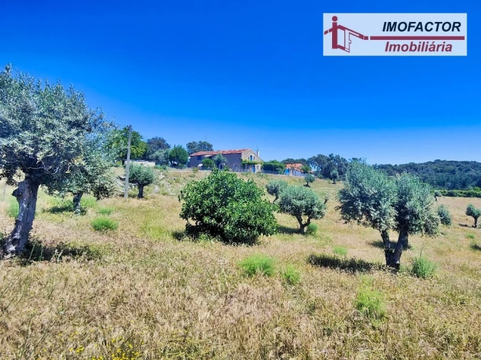 Quinta T8 para Venda em Castelo Branco Foto 79