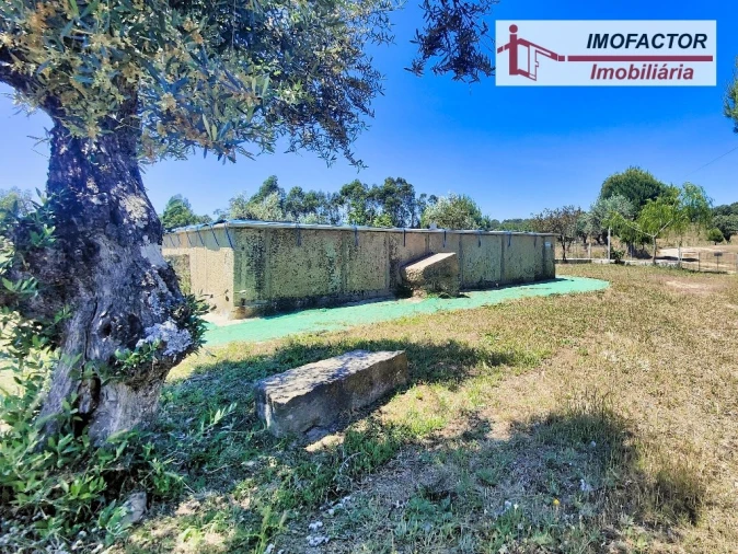 Quinta T8 para Venda em Castelo Branco Foto 10