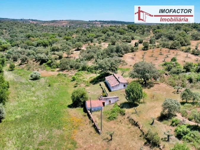 Quinta T8 para Venda em Castelo Branco Foto 90