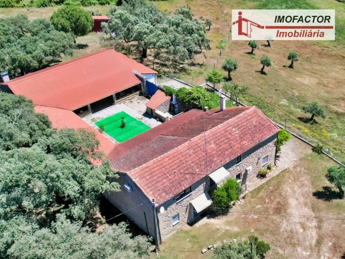 Quinta T8 para Venda em Castelo Branco Foto 95
