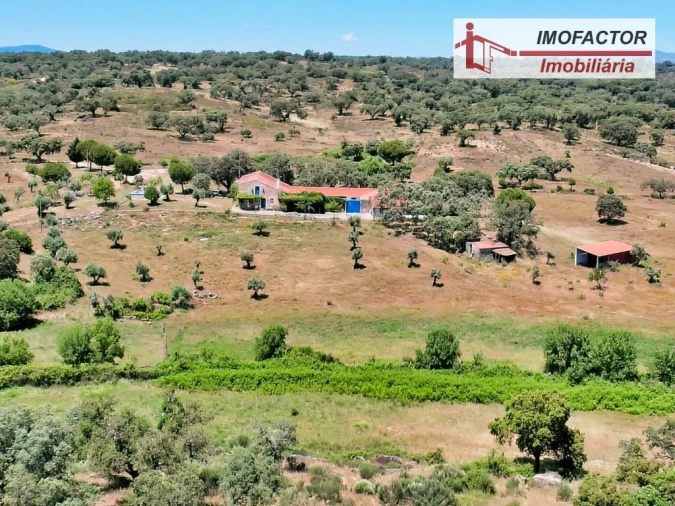 Quinta T8 para Venda em Castelo Branco Foto 94