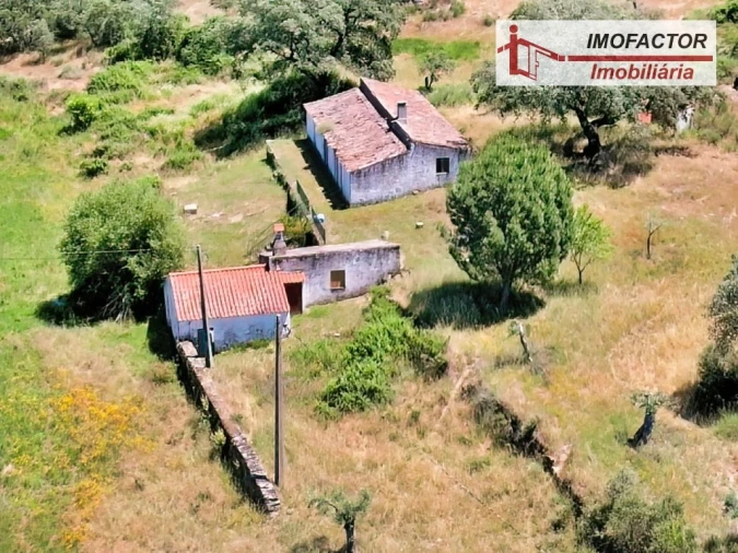 Quinta T8 para Venda em Castelo Branco Foto 89