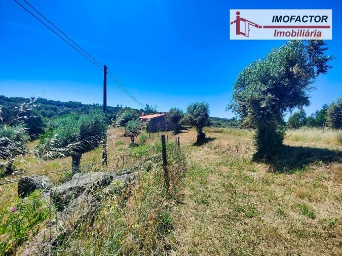 Quinta T8 para Venda em Castelo Branco Foto 20