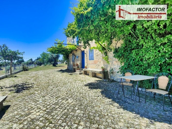 Quinta T8 para Venda em Castelo Branco Foto 68
