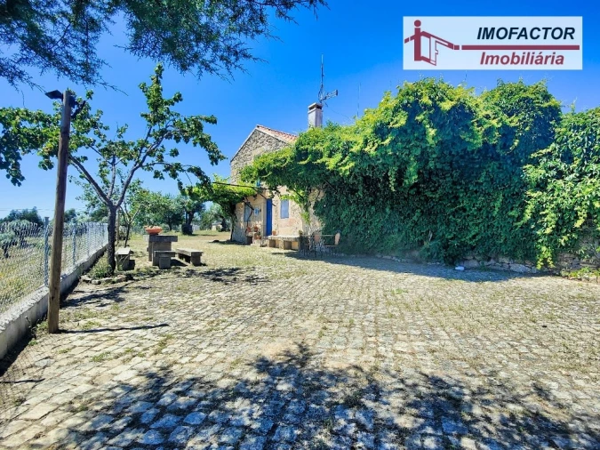 Quinta T8 para Venda em Castelo Branco Foto 11