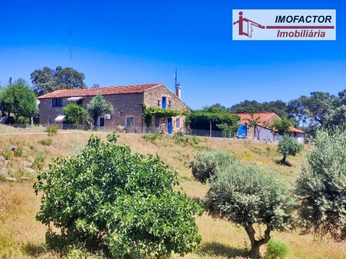 Quinta T8 para Venda em Castelo Branco Foto 6