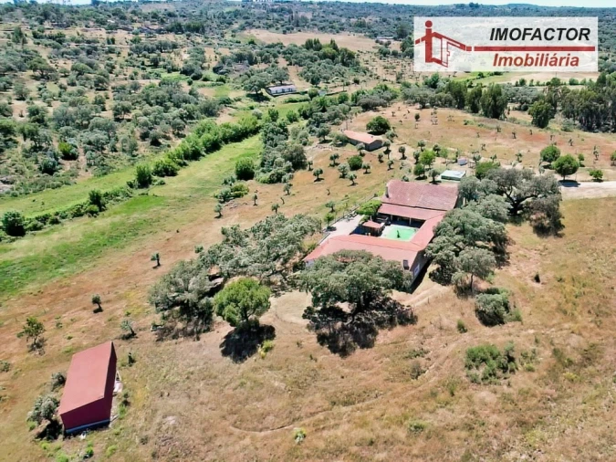 Quinta T8 para Venda em Castelo Branco Foto 88
