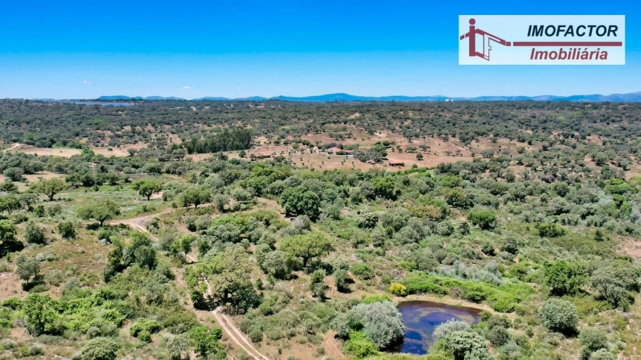 Quinta T8 para Venda em Castelo Branco Foto 99